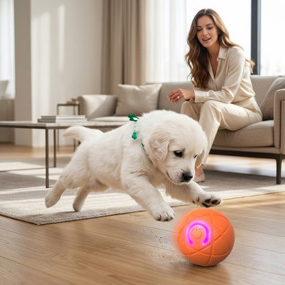 Interactive Rolling Ball Toy for Active Play