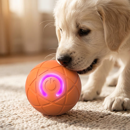 Interactive Rolling Ball Toy for Active Play