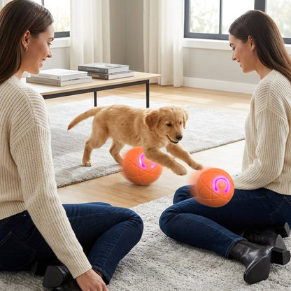 Interactive Rolling Ball Toy for Active Play